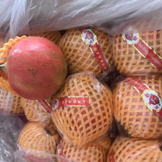 东莞市突尼斯软籽石榴 突尼斯软子石榴