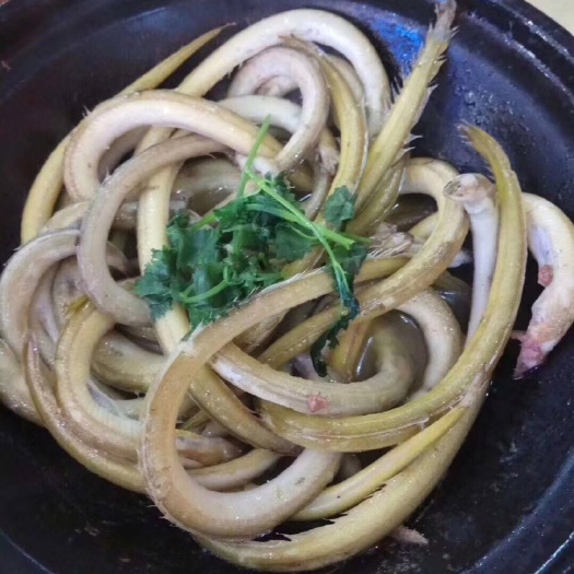 三亚小海鳝(小玉龙)一盒400g