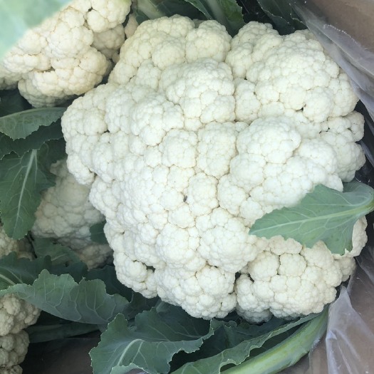 安丘市青梗有机花菜  质量好 个头大 好吃  花球白