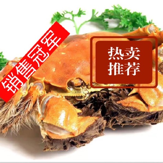 潜江市兴化大闸蟹  今年新上市大闸蟹，顾客至上，当天发货，第二天到