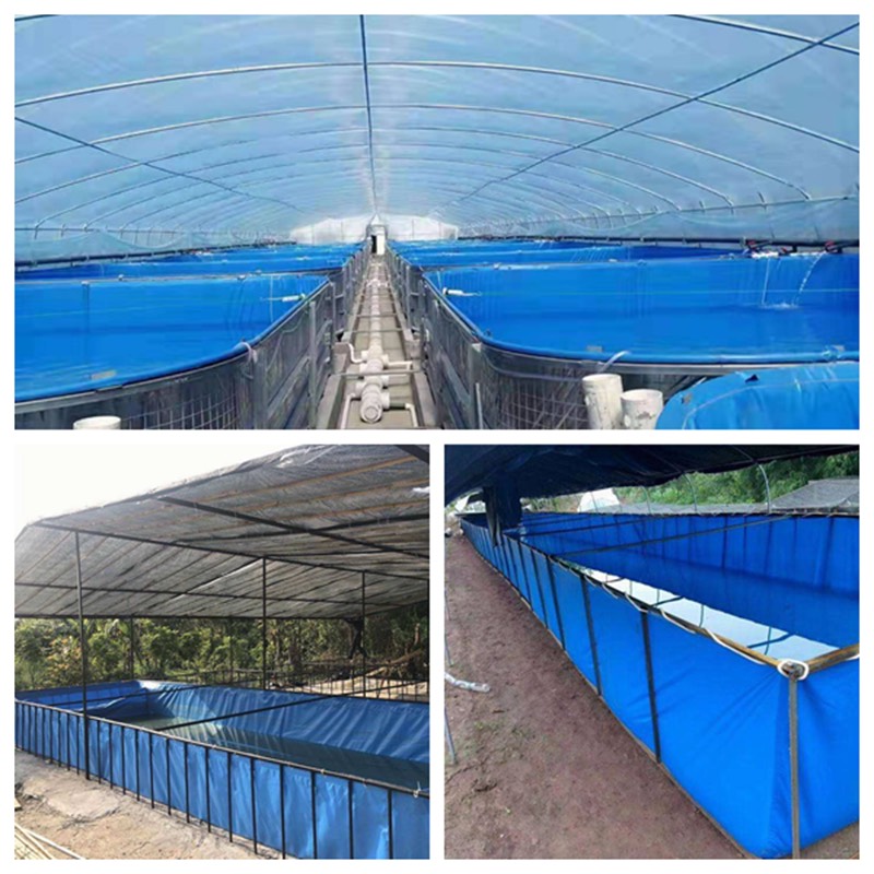 水产养殖箱 镀锌板高密度养殖帆布鱼池帆布水池 养鱼养虾蓄水池