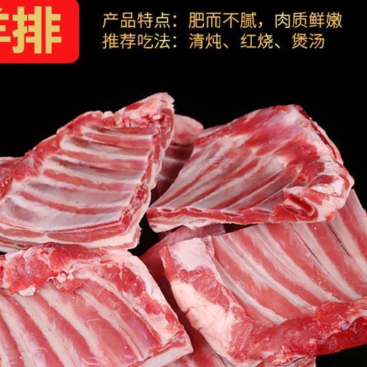 科右前旗绵羊肉  草原散养的有机羊排