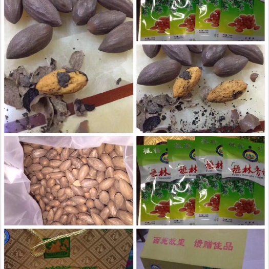 绍兴香榧 千年圣果，香飘四溢