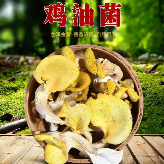 昆明 云南黄金菇鸡油菌干货云南榆黄蘑非野生菌现货供应
