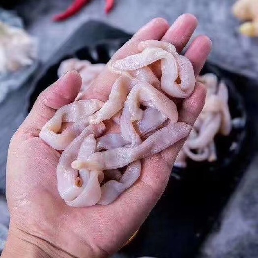 东山县 精品沙虫