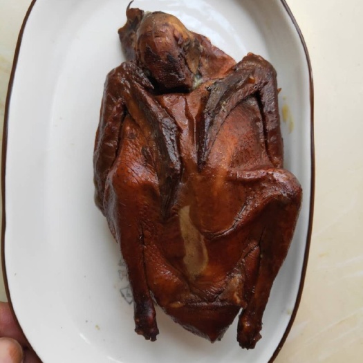 成都乳鸽 乌鸽跟乌鸡一样味道比肉鸽更加鲜美。