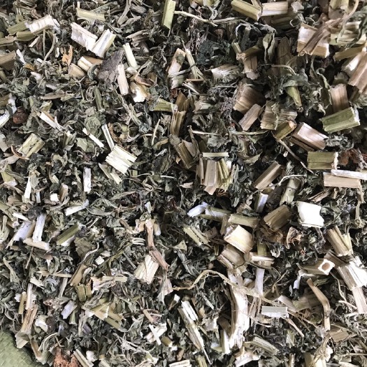 玉林益母草