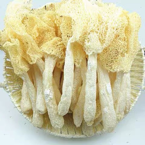 古田土特产竹荪干货50克一包新货无硫磺长裙竹笙农家自种古田
