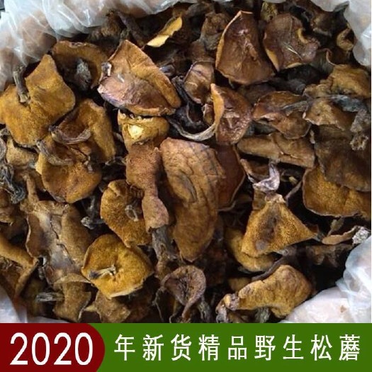 平泉市优质松蘑 干货 质量好 批发价 包邮