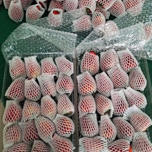 东港市丹东红颜草莓招微商电商，一件代发