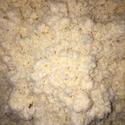 苏州豆腐渣  新鲜豆渣   质量好，蛋白高，干度保证