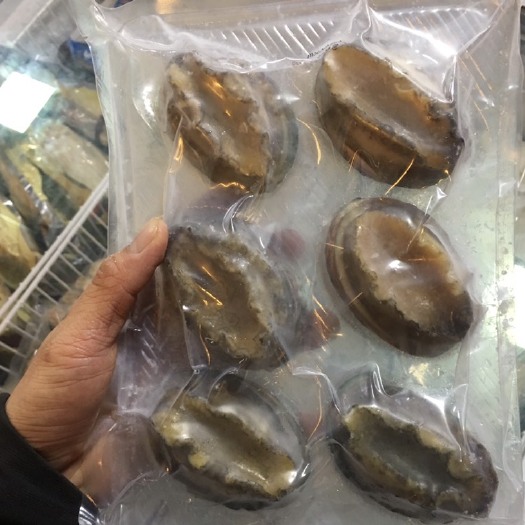 活冻鲍鱼400g/包 带壳鲜冻各种规格齐全