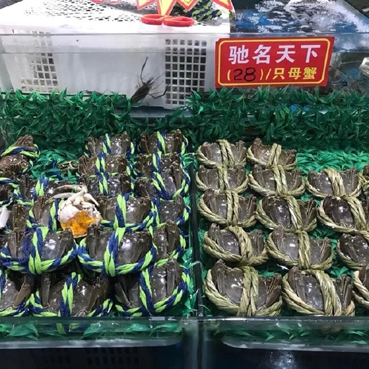 高淳大闸蟹  正宗江苏大闸蟹  全部精品出货 川渝贵包邮。外地补运费