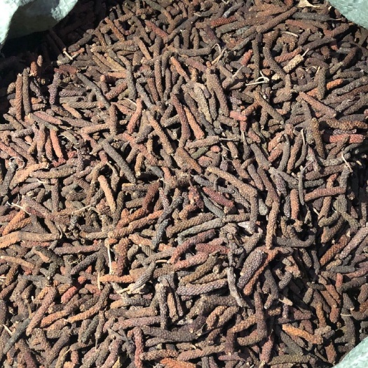 东兴市荜茇 荜拨。大量供应。价钱合理。有一起合作吗