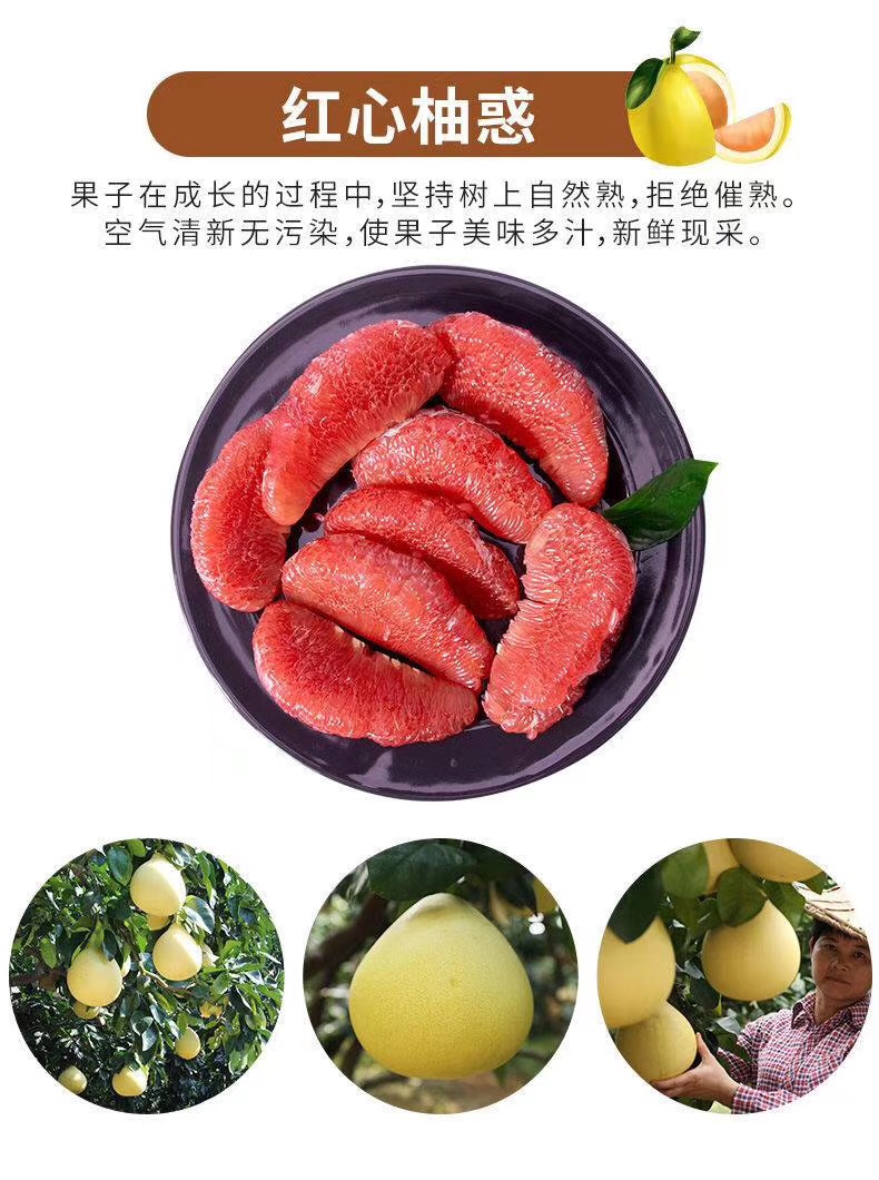  平和琯溪蜜柚，批发，零售，代办，产地直销