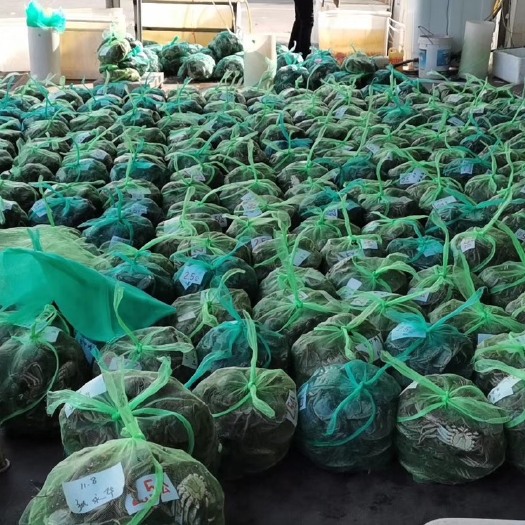 兴化大闸蟹  江苏红膏大闸蟹，质量保证，口味鲜美