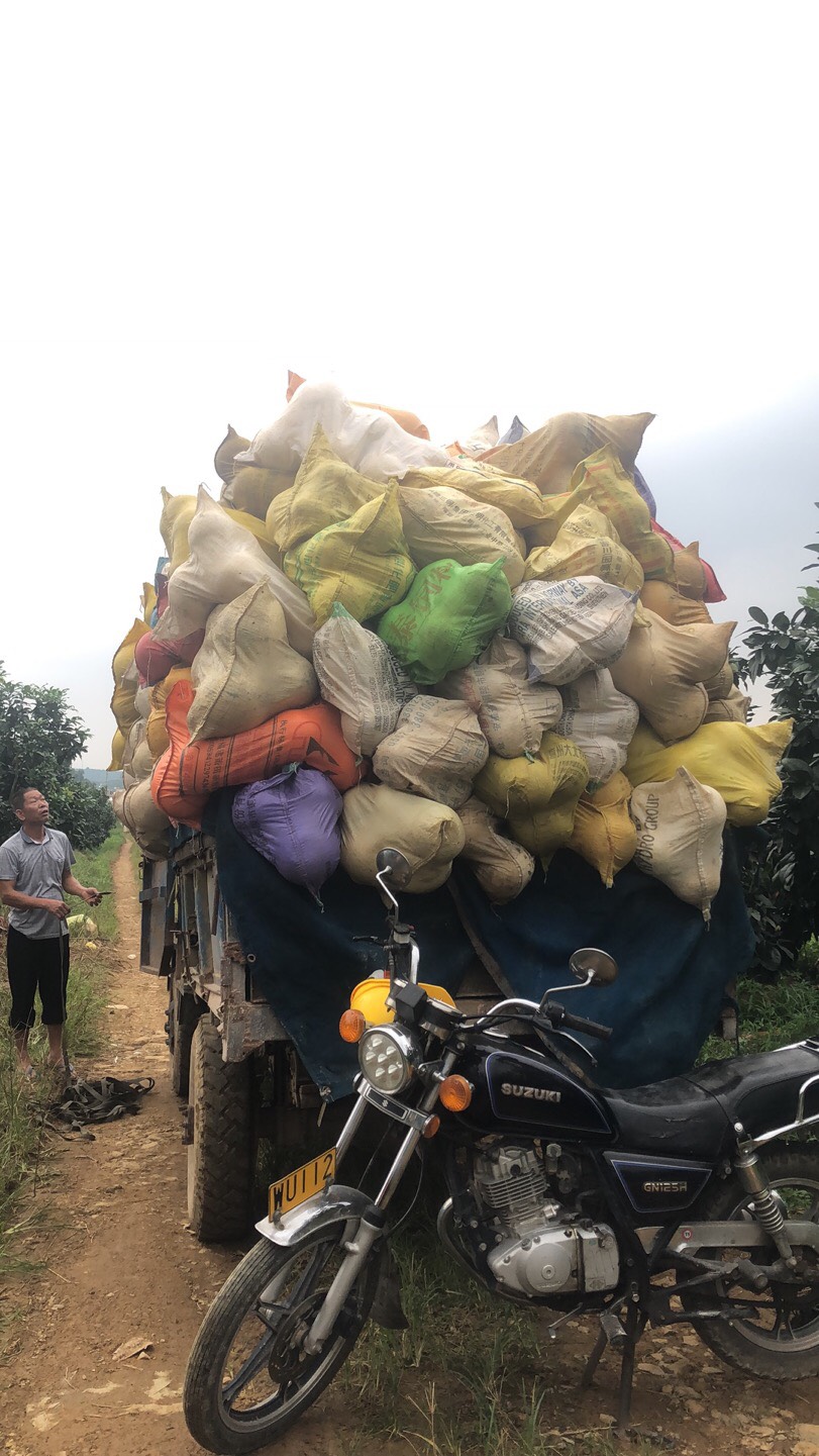  平和琯溪蜜柚，批发，零售，代办，产地直销