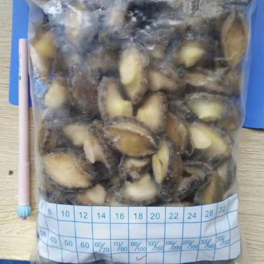  小鲍鱼