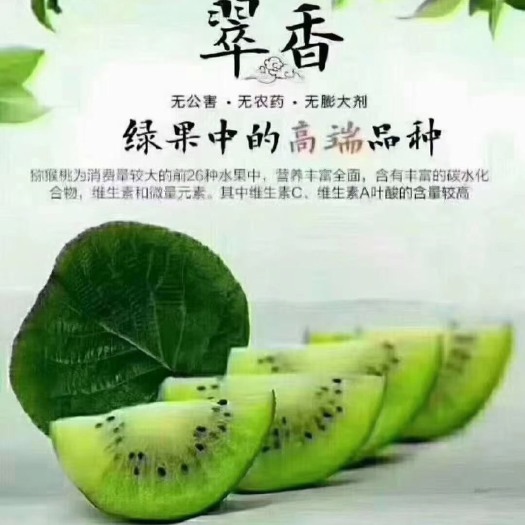 西安中华猕猴桃  陕西翠香猕猴桃