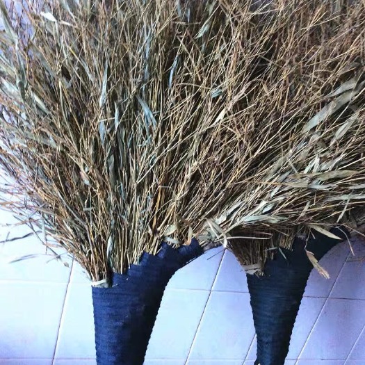 衢州本人自己老爸制作的，也算一门手艺做了几十年了，专业大竹子扫把