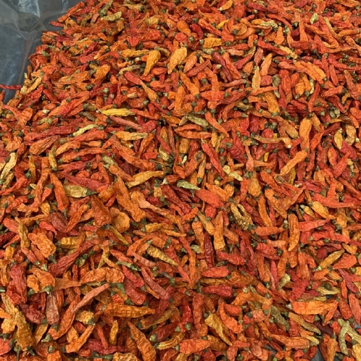 汝城县朝天椒干辣椒  无硫原椒汝城辣王精挑选（适合酒店，超市供应）