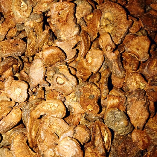 辉南县茶根  大片茶，批发，也可零售，自产自销一手货源蒲公英根大片茶