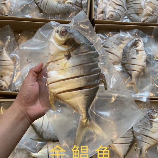 湛江金鲳鱼干，6成干。