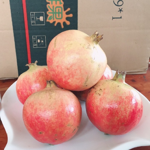 宜城市突尼斯软籽石榴