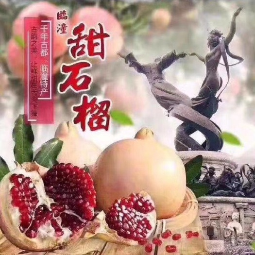 西安临潼石榴 临潼硬籽甜石榴
