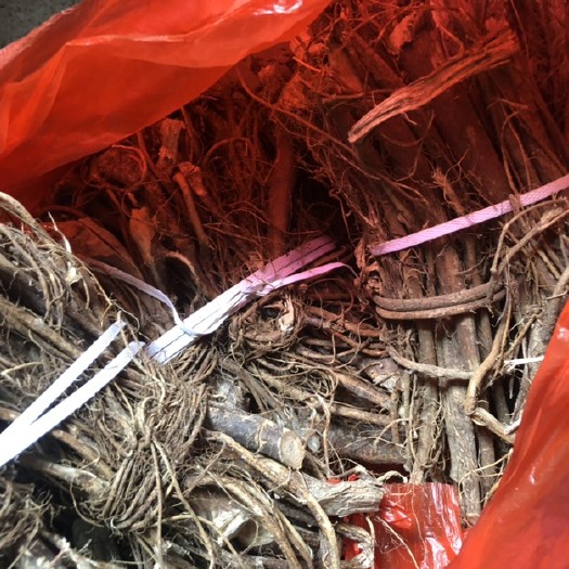 连南县 广东清远本地山货干五指毛桃