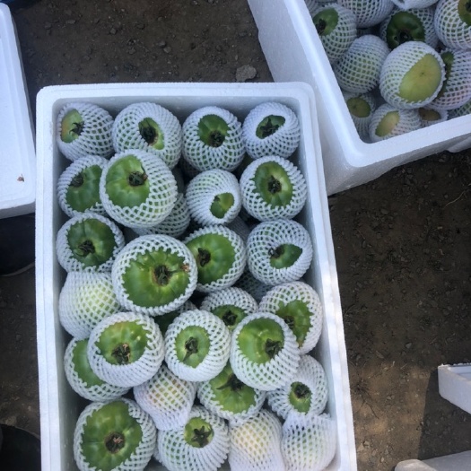 杭州 草莓西红柿，铁皮西红柿，水果西红柿，高糖番茄