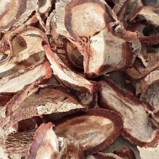 勐臘縣野生葛根  艷紫鉚 紅葛根 紅高顆