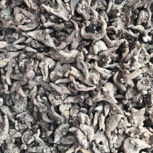 安国市白及 白芨 正品 三叉 白芨 产地直销 批发零售