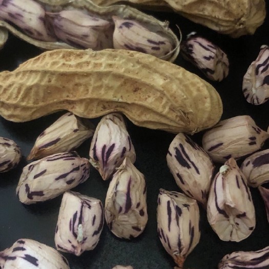 昆明炒花生  新货云南七彩花生 花生仁带壳休闲零食可做种子产地大