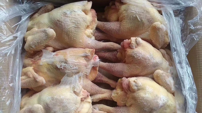 北京白条鸡 老母鸡清真食品