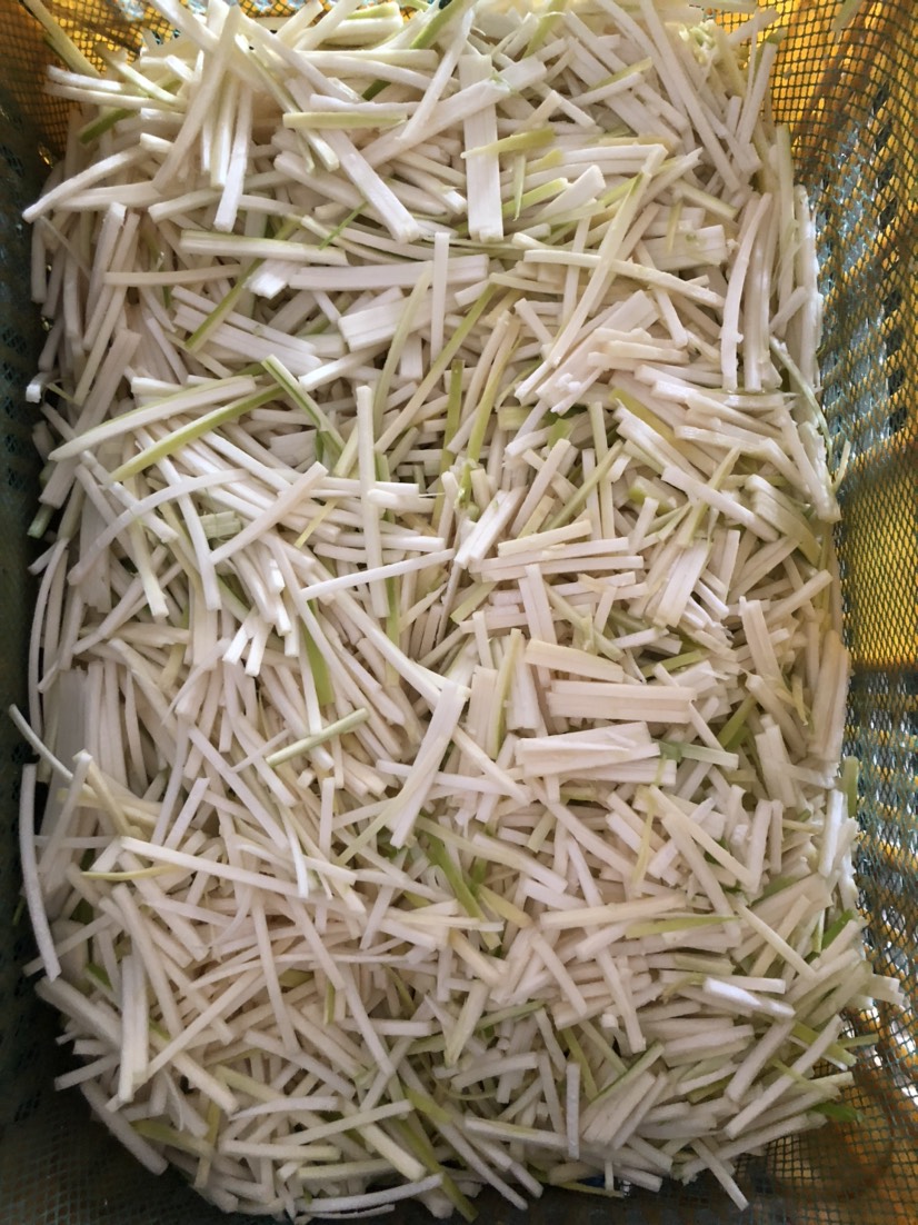 酸笋 6-12个月 