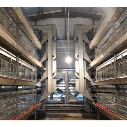 西平县 源头厂家  养鸡喂料机自动化行车喂料机