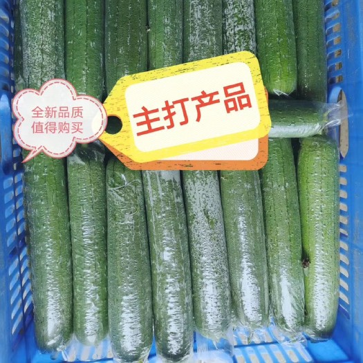横州市丝瓜 水瓜 套丝瓜 套水瓜 广东惠州地区 珠三角地区耐运输