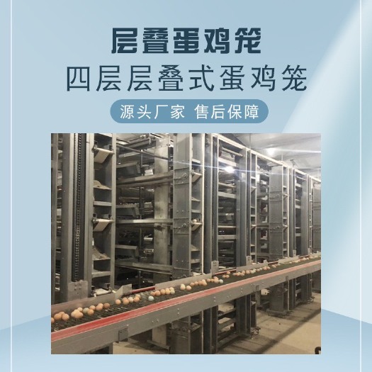 西平县 四层层叠式蛋鸡笼  热镀锌蛋鸡笼 养鸡鸡笼大规模养殖笼具批发