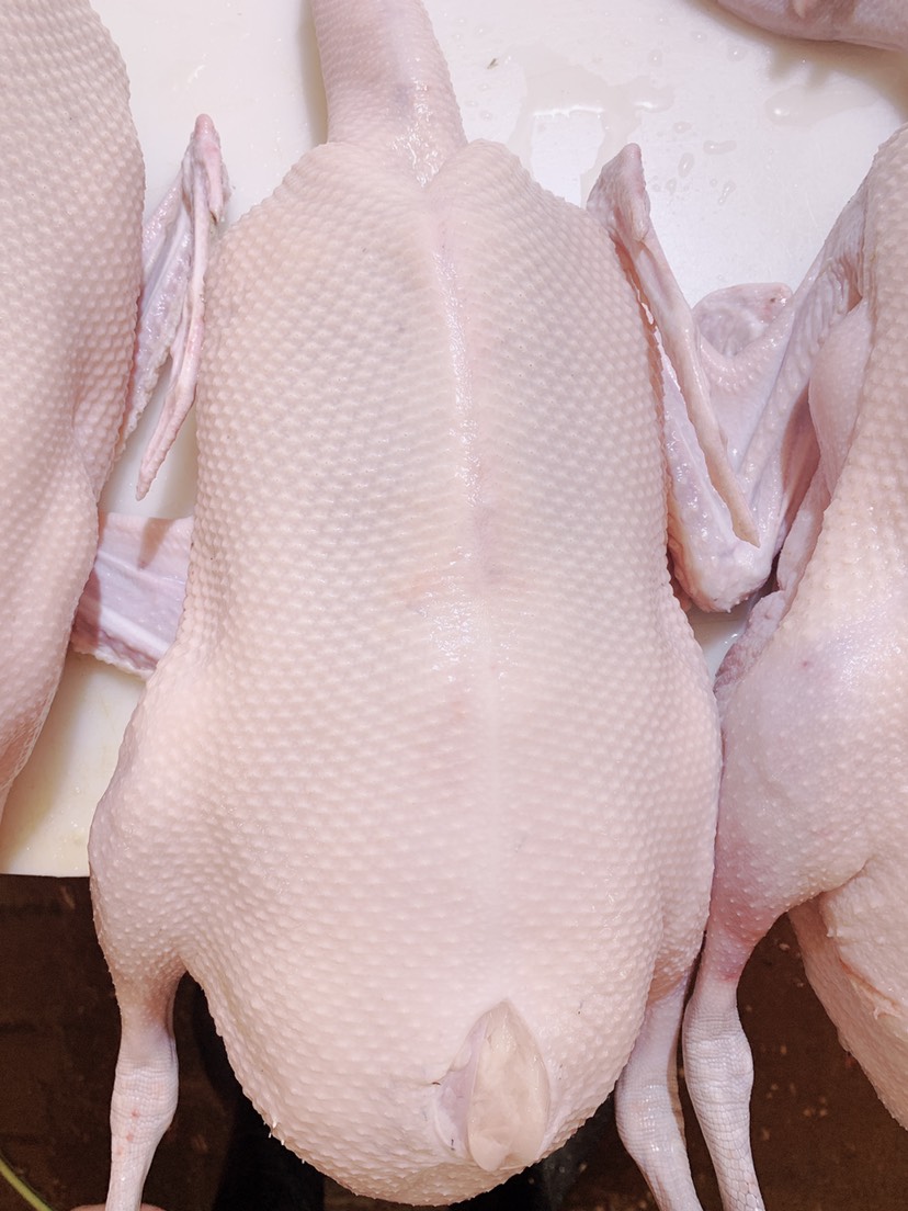 佛山肉鹅  清远黑综鹅