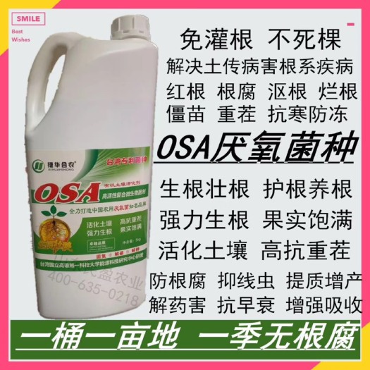 莘县菌肥  OSA厌氧菌，定植水冲施，免灌根不死棵