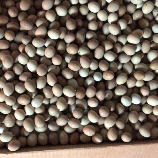 瑞金市芦丁蛋  出售芦丁鸡蛋，种蛋