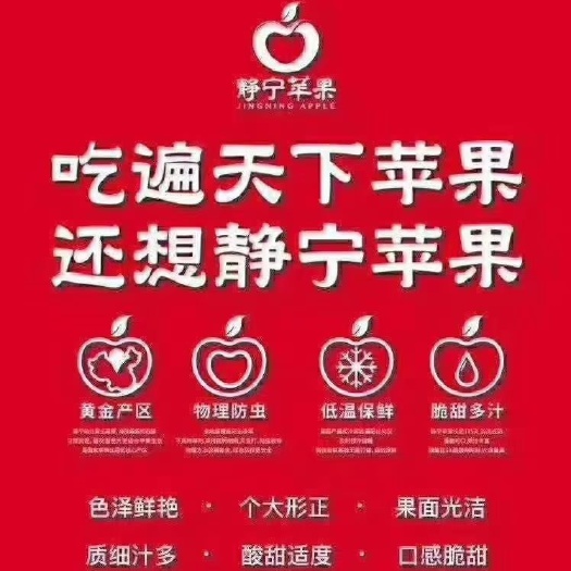 深圳静宁苹果