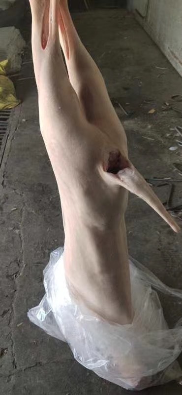 河间市带皮羊酮体
