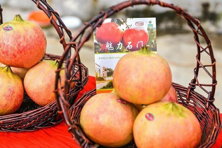 宜阳县 突尼斯软籽石榴，不用吐籽的石榴，又红又甜，营养丰富，老少皆宜