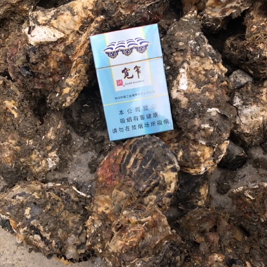 庄河市大连生蚝 海水 1-2两/只 2-3两/只 3-4两/只 鲜活水产 