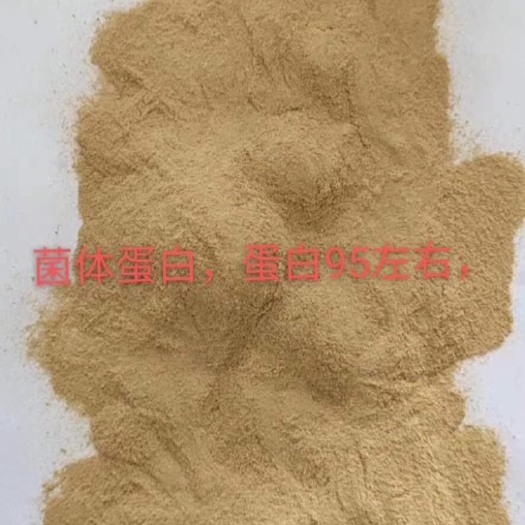 正定县预混料 菌体蛋白