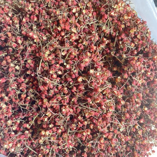 吉县黄土高坡优质大红袍花椒未加工天然生长食用花椒产地直销