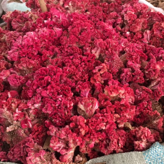 玉林中药材鸡冠花  红鸡冠花 无硫鸡冠花