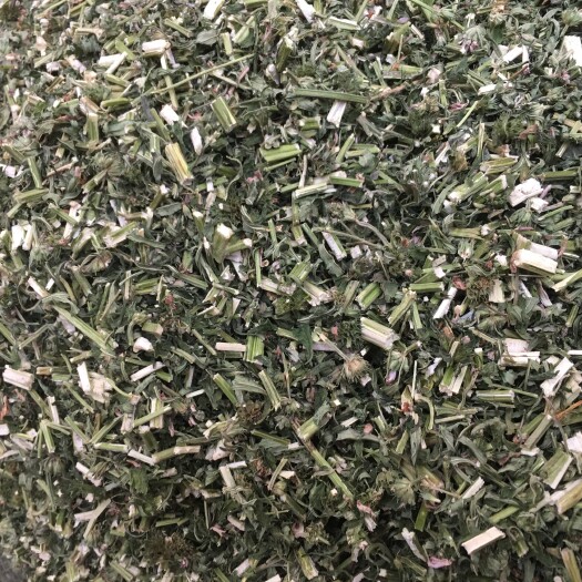 玉林 益母草，有含量颜色青绿